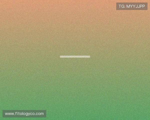 凯发娱乐平台官网:安全可靠的在线娱乐首选平台推荐